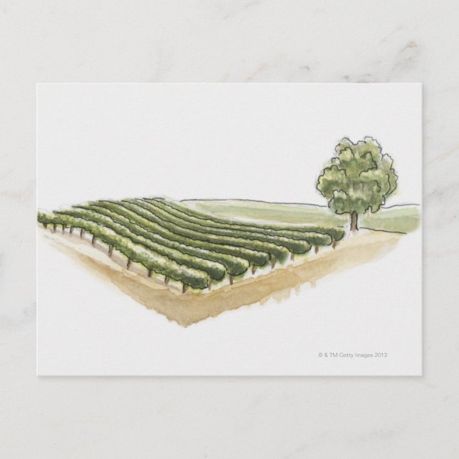 Saint-Emilion, Frankrike Vykort (Framsida)