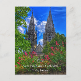 Saint Fin Barres katedral Kork, Irlands vykort