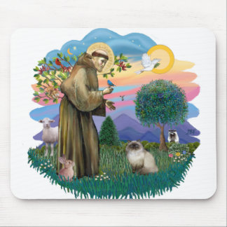 Saint Francis (ff) - Seal Point Himalayan cat Musmatta