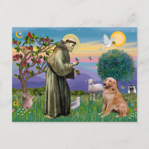 Saint Francis - Golden Retriever (#1) Vykort