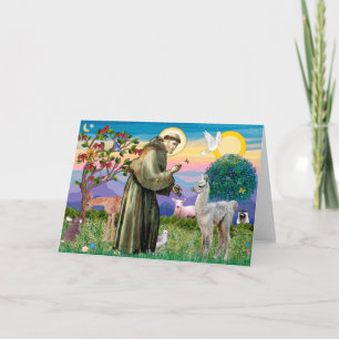 Saint Francis och Llama Baby Kort