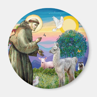 Saint Francis och Llama Baby Magnet