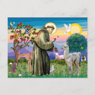 Saint Francis och Llama Baby Vykort