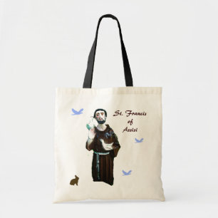 Saint Francis Tygkasse
