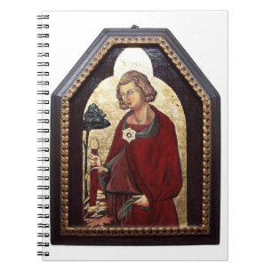 SAINT GALGANO / LEGEND OF THE SWORD IN STEN ANTECKNINGSBOK