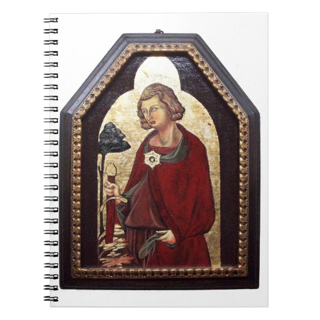 SAINT GALGANO / LEGEND OF THE SWORD IN STEN ANTECKNINGSBOK (Framsidan)