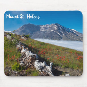 Saint Helens Vår blommor Musmatta