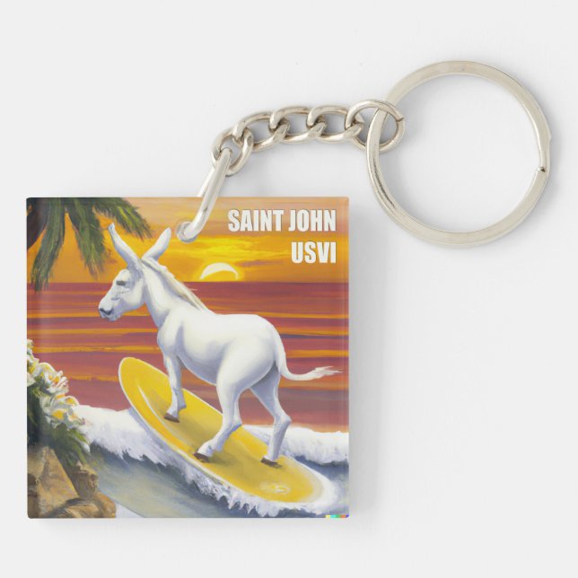 Saint John US Virgin Islands Funny Donkey Surfing (Baksidan)