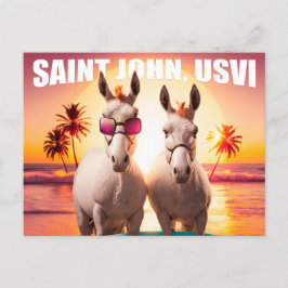 Saint John USVI Donkey på Beach Funny Unique Vykort