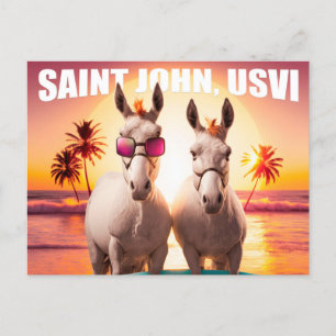 Saint John USVI Donkey på Beach Funny Unique Vykort