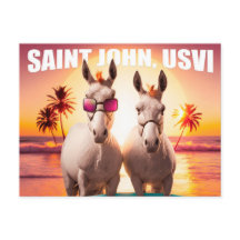 Saint John USVI Donkey på Beach Funny Unique