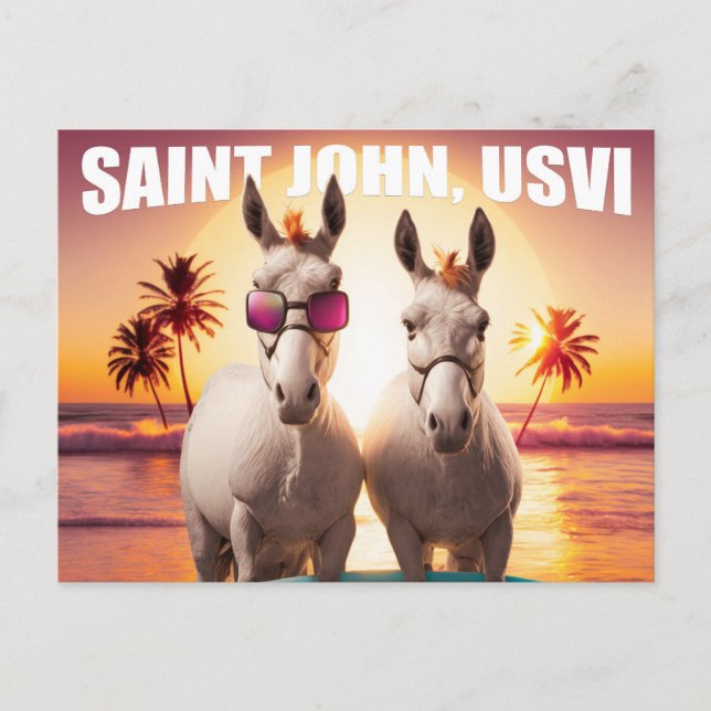 Saint John USVI Donkey på Beach Funny Unique Vykort (Framsida)