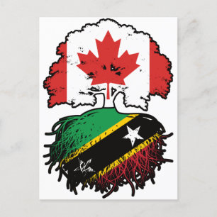 Saint Kitts Kittitian Canadian Canada Träd Roots Vykort