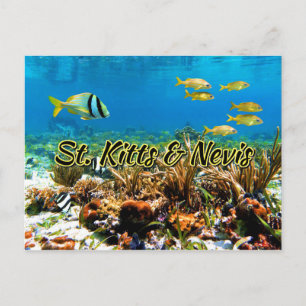 Saint Kitts och Nevis-korallrev Vykort