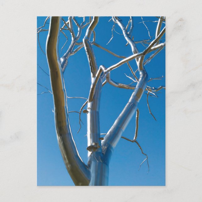 Saint Louis Art Museum Vykort (Framsida)