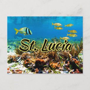 Saint Lucia-korallreven Vykort