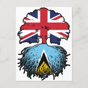 Saint Lucia Saint Lucian British UK Träd Roots Vykort