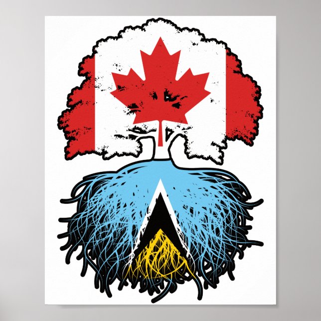Saint Lucia Saint Lucian Canadian Träd Root Poster (Framsidan)