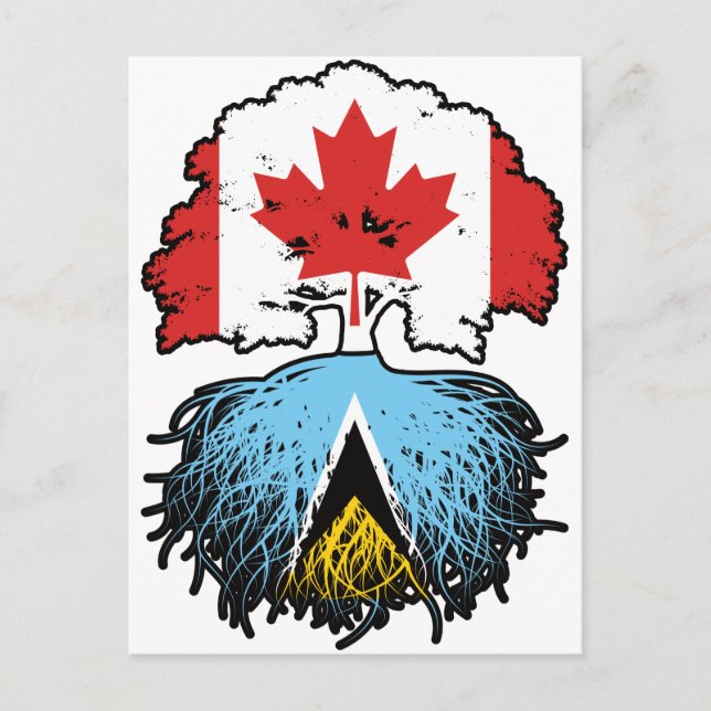 Saint Lucia Saint Lucian Canadian Träd Root Vykort (Framsida)