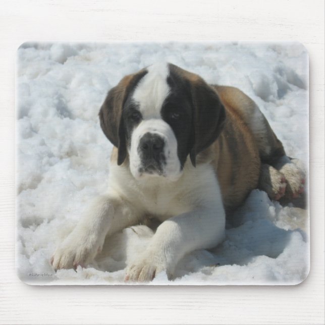 Saint_mousepad Musmatta (Framsidan)