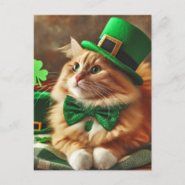 Saint Patricks Day Cat Vykort