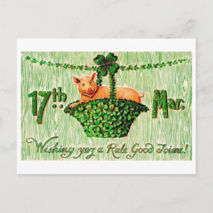 saint patrick's day Lucky Gris, Vintage Vykort