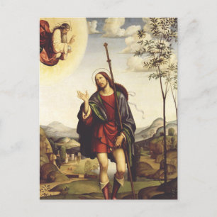 Saint Roch av Francesco Francia Vykort