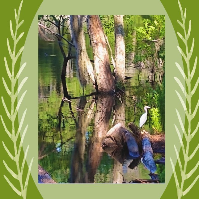 Saint Simons Island, GA Lagoon och Egret Postcard Vykort (Skapare uppladdad)