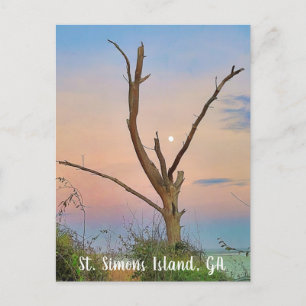 Saint Simons Island, GA Öster Beach Sunset Vykort