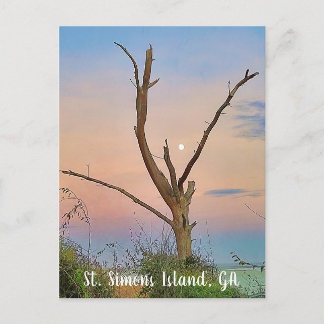 Saint Simons Island, GA Öster Beach Sunset Vykort (Framsida)