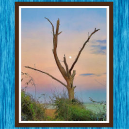 Saint Simons Island Georgia Beach Sunset and Måne Poster