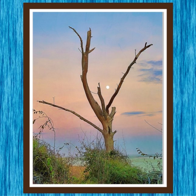 Saint Simons Island Georgia Beach Sunset and Måne Poster (Skapare uppladdad)
