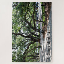 Saint Simons Island Live Oak Träd