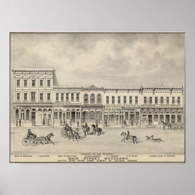 Saint Woodland 2 Poster (Framsidan)