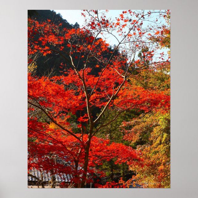 Saitama Prefecture, Japan Poster (Framsidan)