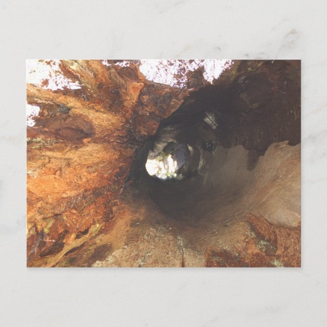 Sak är tätt vykort (Framsida)