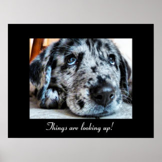 Sak är tittar! poster