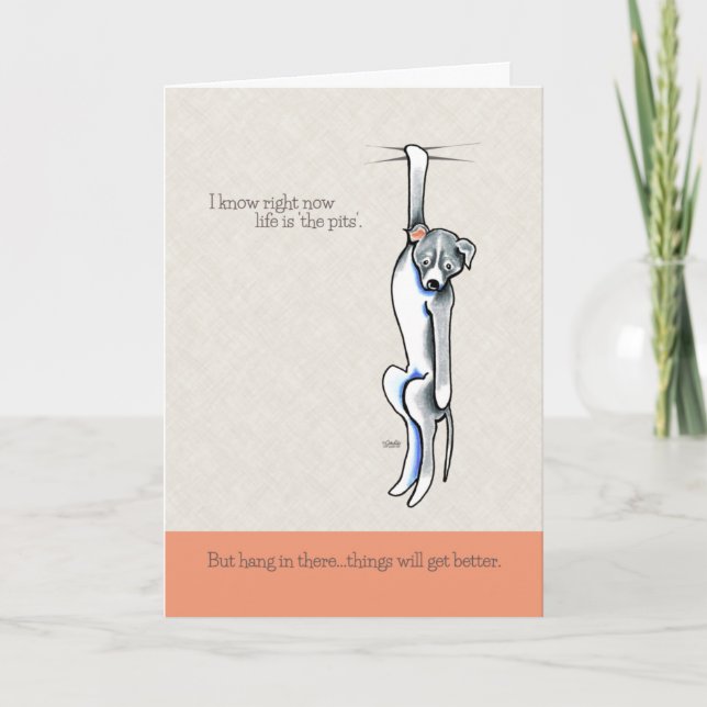 Sak får bättre stöd för jakt på kutym kutym kort (Framsida)