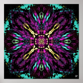 Sak från rymden - mönster pareidolia poster