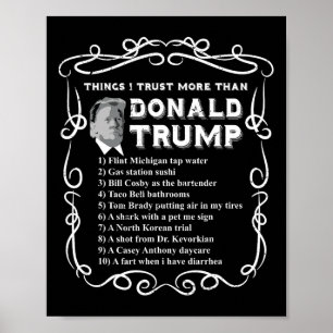Sak I litar mer än Donald Trump Anti Potus V Poster