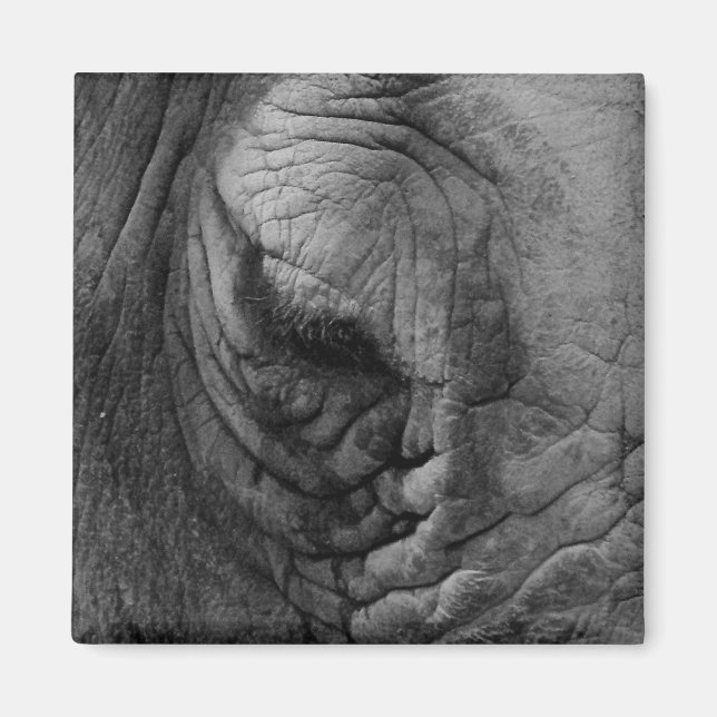 Sak Ive har sett vit Rhino-magnet. Magnet (Framsidan)