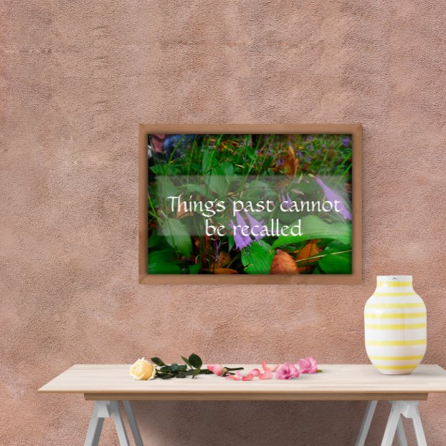 Sak kan inte komma ihåg att visdom poster (Skapare uppladdad)