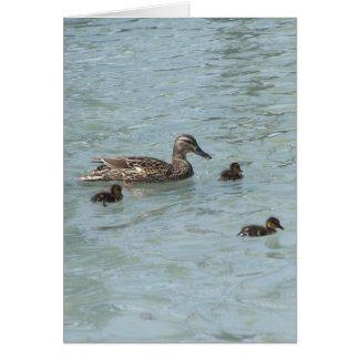 Sak som Flyter Hälsningskort