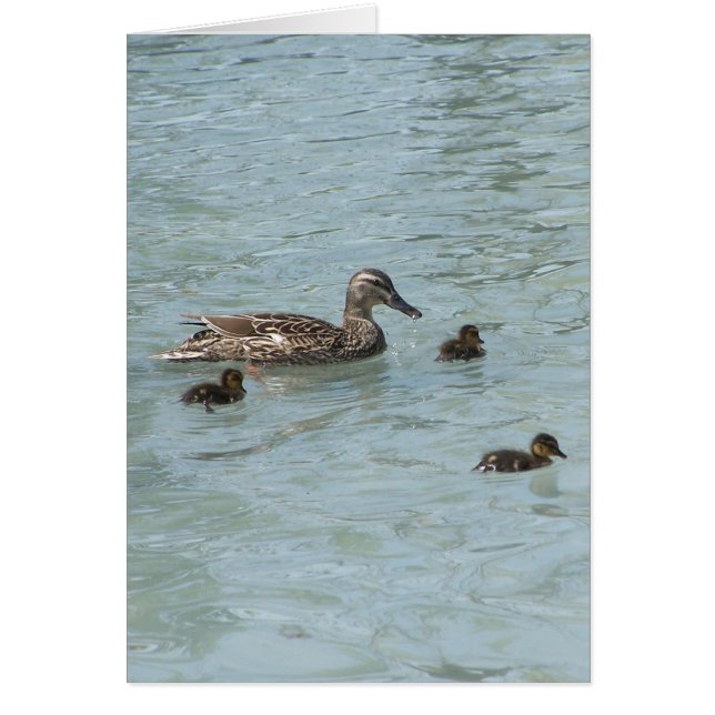 Sak som Flyter Hälsningskort (Framsidan)