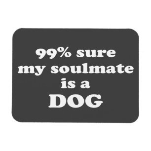 säker 99% min soulmate är en hund - roligt magnet