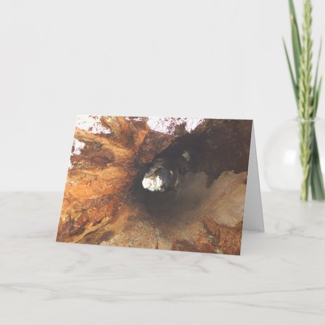 Saker är åtsittande kort (Framsida)