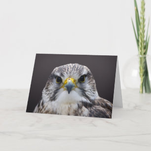 Saker Falcon hälsning kort, tomt inuti. Kort