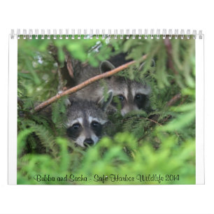 Säker hamndjurlivkalender kalender