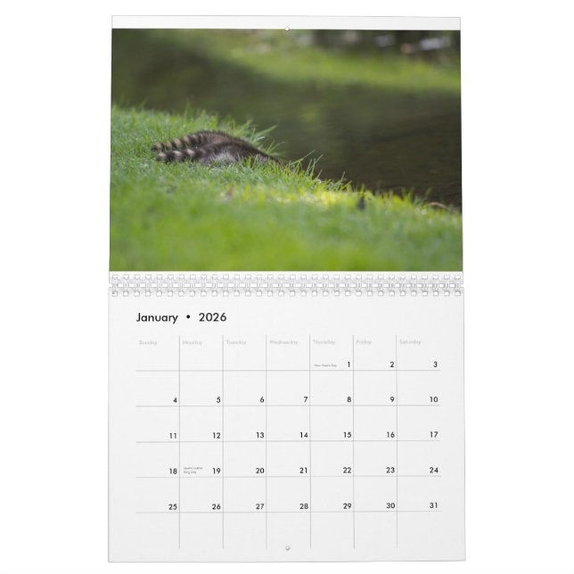Säker hamndjurlivkalender kalender (Jan 2026)