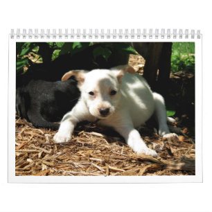 Säker kalender för händerrädding 2015